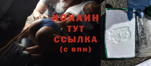 шишки Балахна