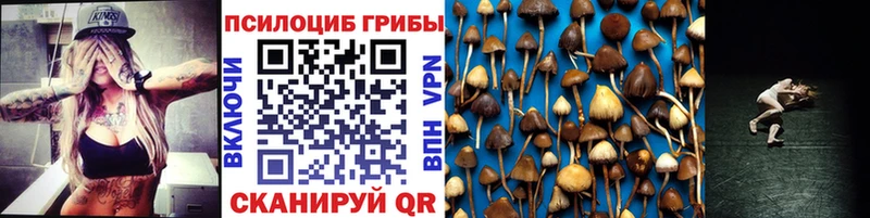 Галлюциногенные грибы мицелий Верхний Тагил
